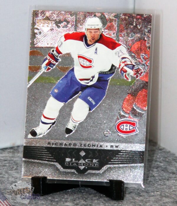 2005-06 Richard Zednik #45 Upper Deck Black Diamond-stand