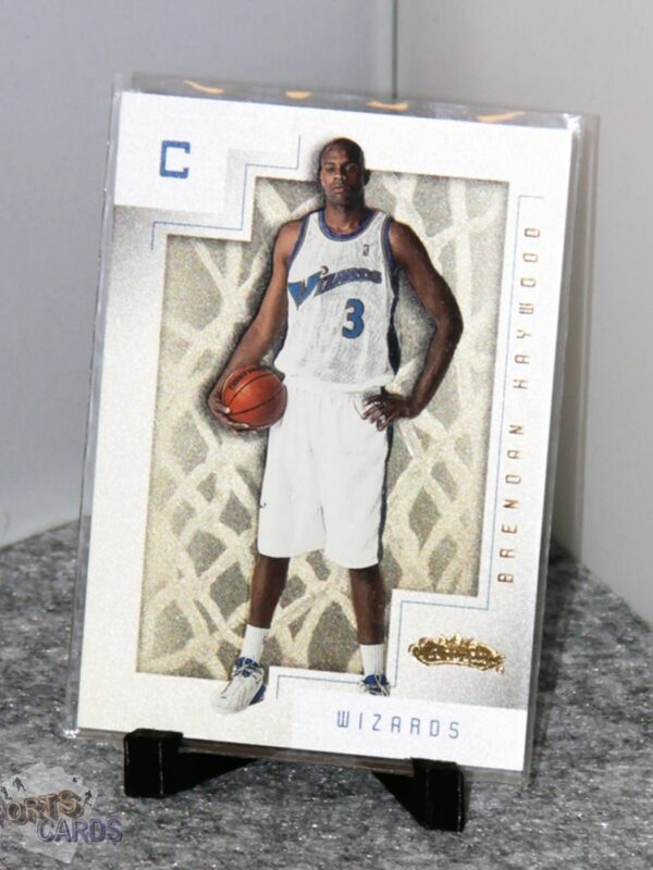 2001-02 Brendan Haywood #122 Fleer Showcase Rookie /1500-stand