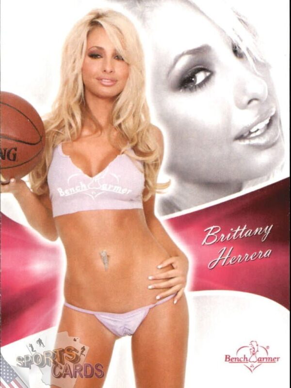 2011 Brittany Herrera #45 Bench Warmer BubbleGum-front