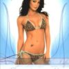 2008 Martina Andrews #15 Bench Warmer Signature Series