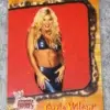 2002 Torrie Wilson #7 Fleer WWE Absolute Divas-front