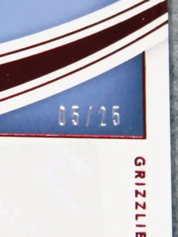 2021-22 Steven Adams #MM-SAD Panini Immaculate Modern Marks Auto SN#5 - detail