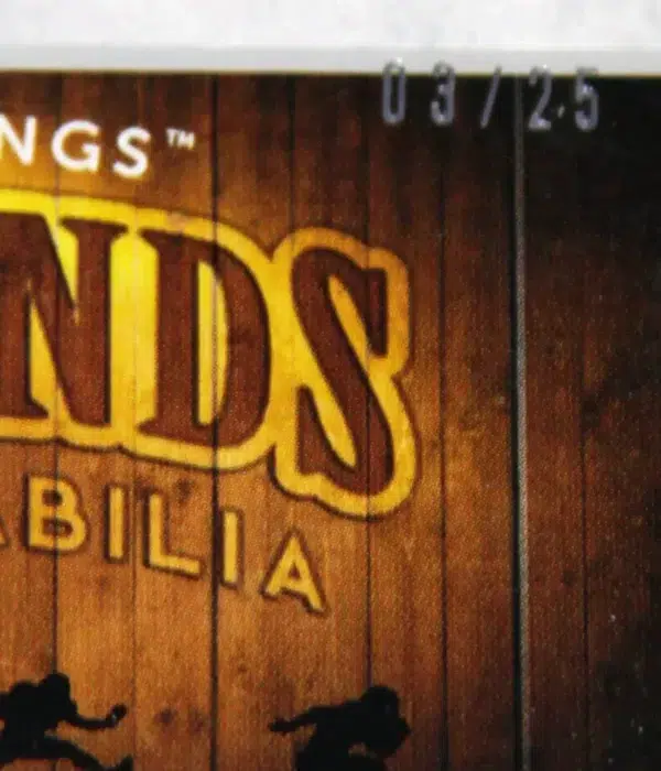 2022 Adam Vinatieri #LPM-44 SportsKings Premium Legends Memorabilia Patch SN#3 - detail