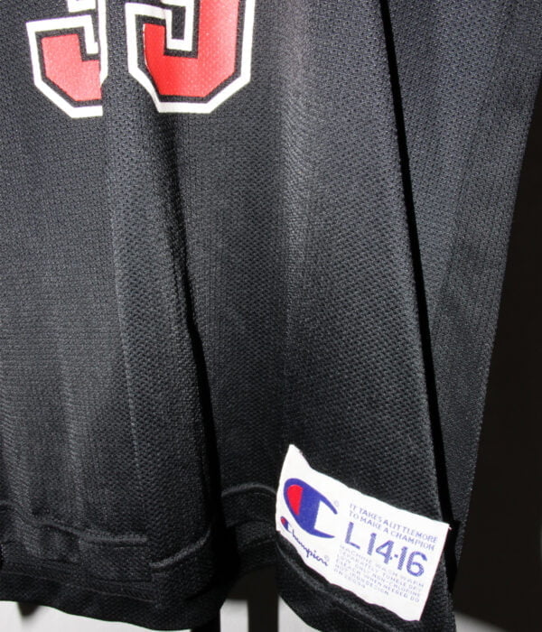 Scottie Pippen #33 Chicago Bulls - Champion - L14-16 - Closeup2