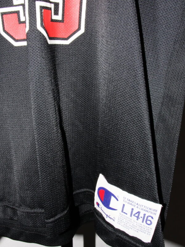 Scottie Pippen #33 Chicago Bulls - Champion - L14-16 - Closeup2