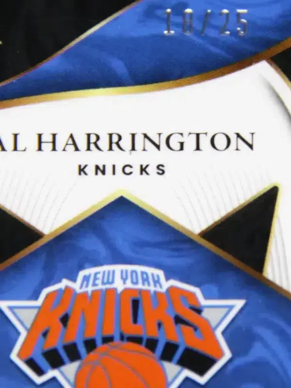 2021-22 Al Harrington #XF-AHR Panini Select X-Factor Tie Dye Prizm Autograph SN#18 - detail