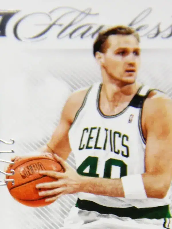 2021-22 Dino Radja #LSC-DRD Panini Flawless Legendary Scripts Autograph Silver SN#21 - detail