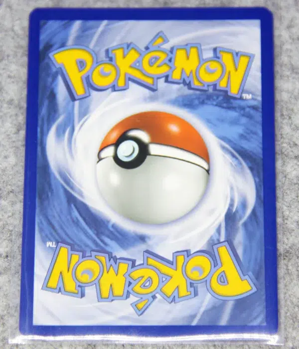 2019 Pikachu V SWSH061 Pokemon Sword & Shield Black Star Promo Holo - back