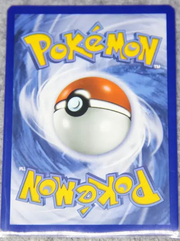 2019 Pikachu V SWSH061 Pokemon Sword & Shield Black Star Promo Holo - back