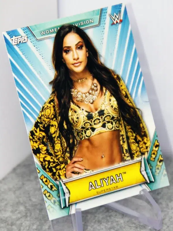 2019 Aliyah #31 Topps WWE Womens Division NXT Superstar - stand
