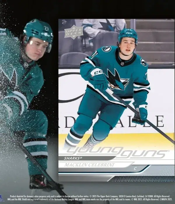 2024-25 Upper Deck Hockey Series 2 Blaster Box - supplier4