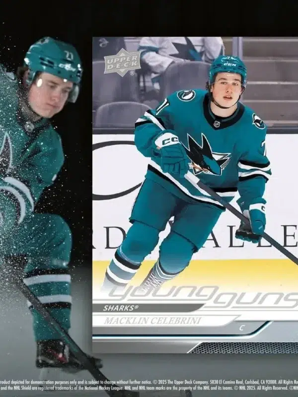 2024-25 Upper Deck Hockey Series 2 Blaster Box - supplier4