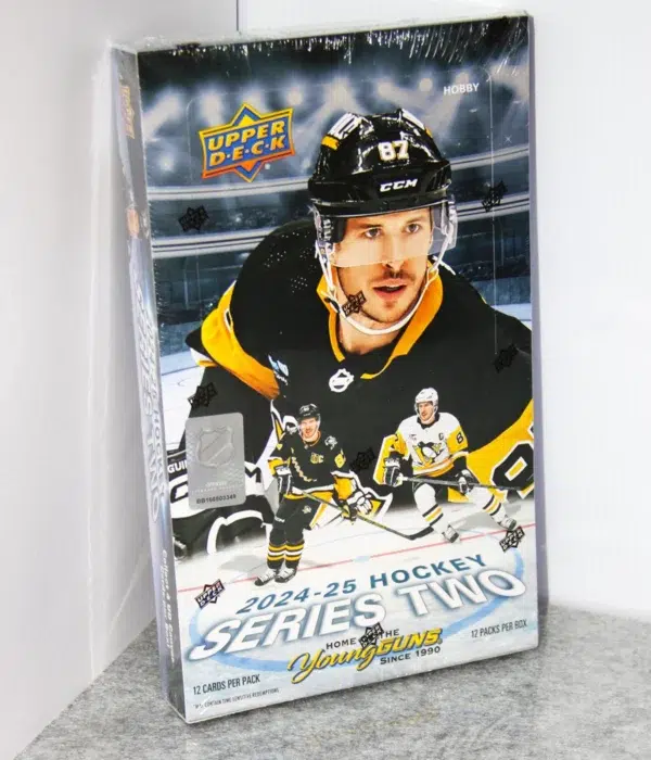 2024-25 Upper Deck Hockey Series 2 Hobby Box - stand
