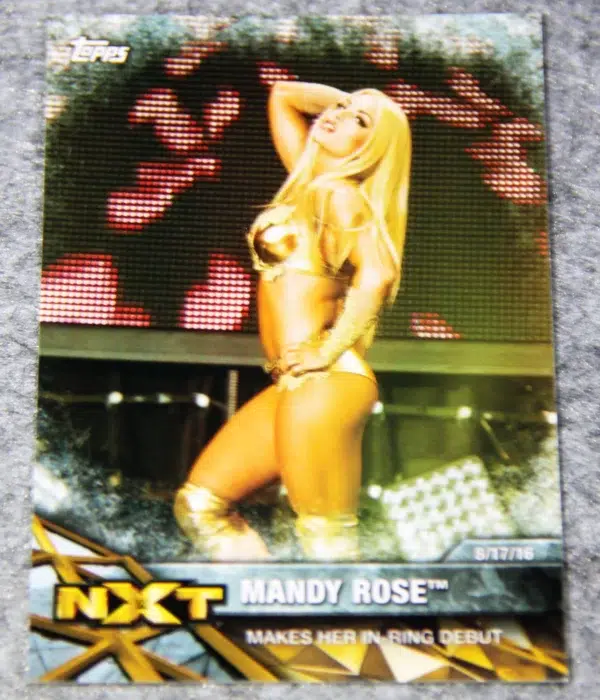 2017 Mandy Rose #NXT-19 Topps WWE NXT Matches and Moments