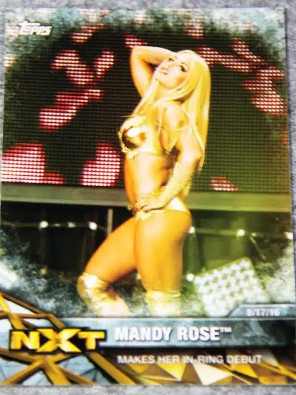 2017 Mandy Rose #NXT-19 Topps WWE NXT Matches and Moments