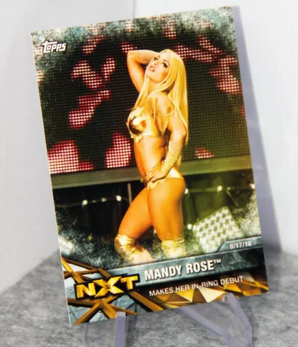 2017 Mandy Rose #NXT-19 Topps WWE NXT Matches and Moments