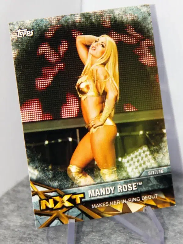 2017 Mandy Rose #NXT-19 Topps WWE NXT Matches and Moments