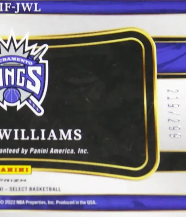 2021-22 Jason Williams #IF-JWL Panini Select In Flight Autograph Silver Prizm /299