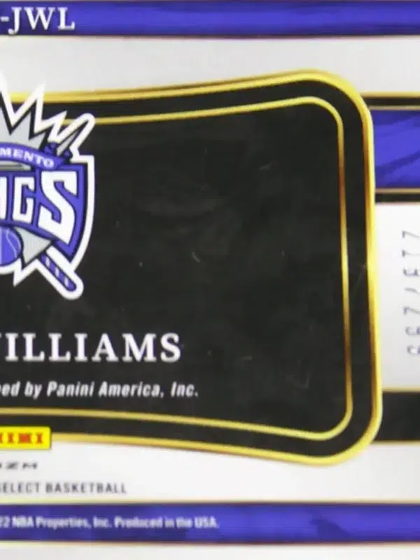 2021-22 Jason Williams #IF-JWL Panini Select In Flight Autograph Silver Prizm /299