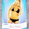 2010 Torrie Wilson #2 Bench Warmer Signature Series