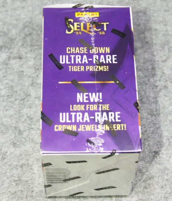 2024-25 Panini Select NBA Blaster Box - Sealed