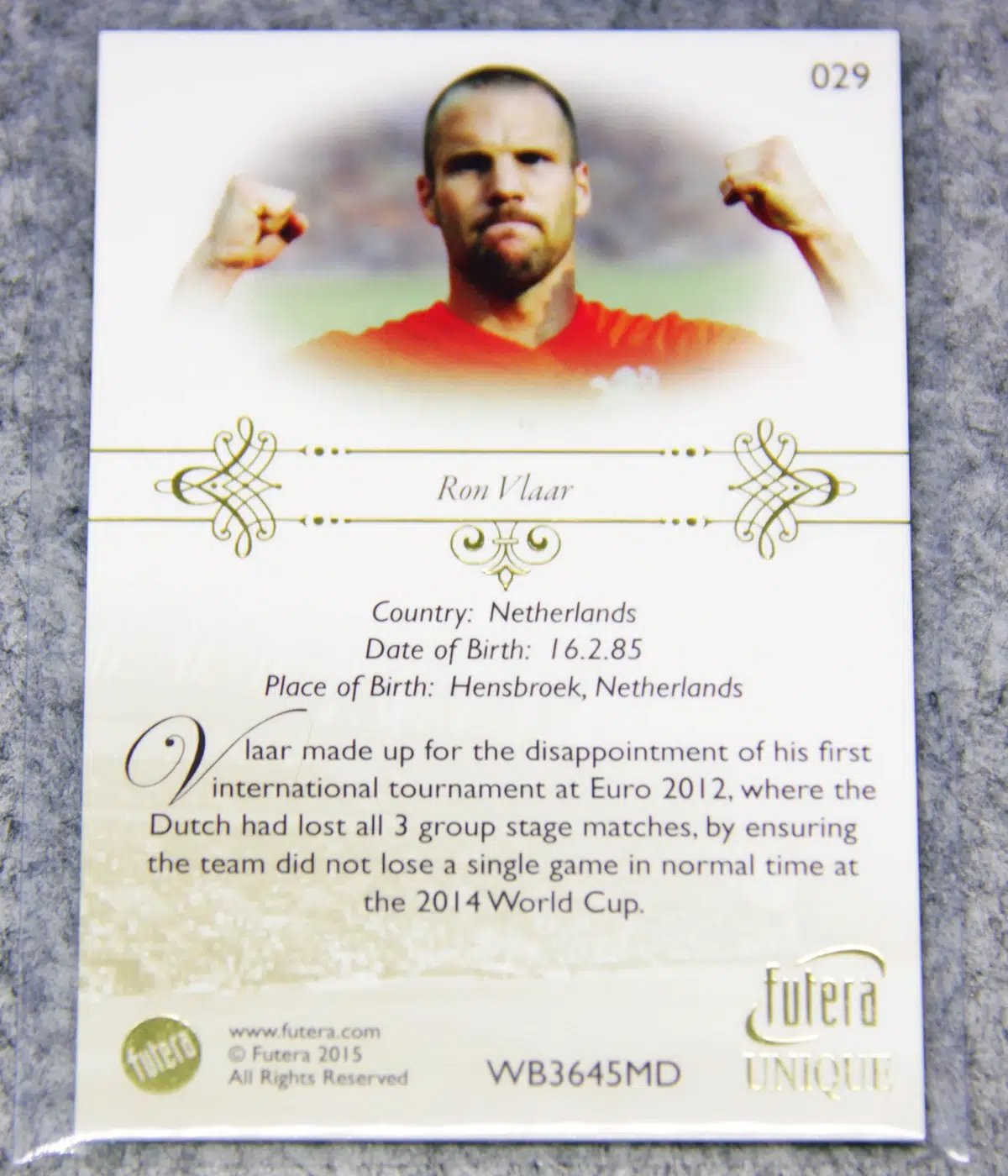 2015 Ron Vlaar #029 Futera Unique Defender