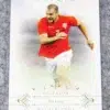 2015 Ron Vlaar #029 Futera Unique Defender